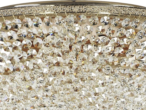 Потолочная люстра Arti Lampadari Stella Stella LE 1.2.50.501 G в Нижнем Новгороде фото 2