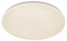 Накладной светильник Escada GALATEA 10216/SG LED APP в Нижнем Новгороде