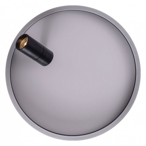 Накладной светильник Zortes Raizy ZRS.1888.03 в Нижнем Новгороде фото 5