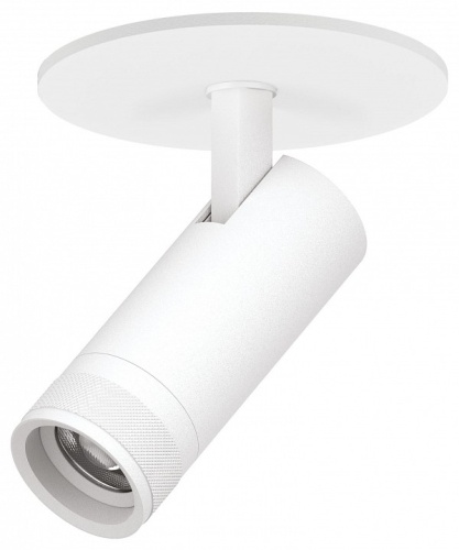 Спот Lightstar Canno Pro C4126RS в Нижнем Новгороде