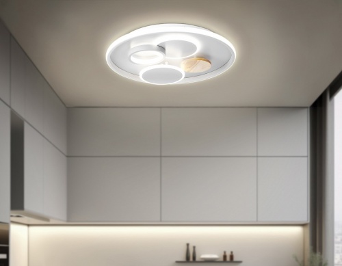 Накладной светильник Ambrella Light FL FL4803 в Нижнем Новгороде фото 4