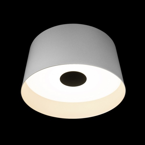 Накладной светильник Loft it Duo 10360L White в Нижнем Новгороде фото 4