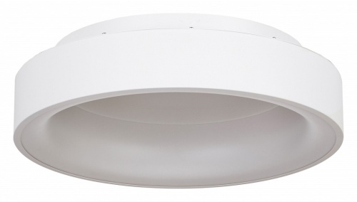 Накладной светильник MyFar Shannon MR2194-1PL в Нижнем Новгороде