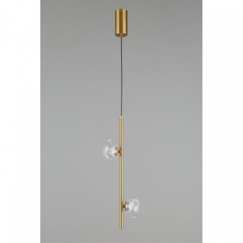 Подвесной светильник Aployt Tereze APL.074.06.02 в Нижнем Новгороде фото 6