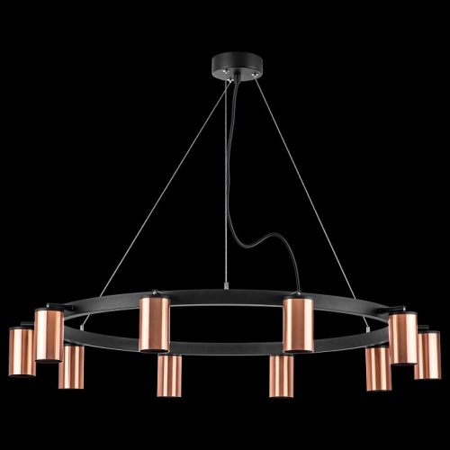 Подвесная люстра Lightstar Rullo LR0203000 в Нижнем Новгороде фото 3