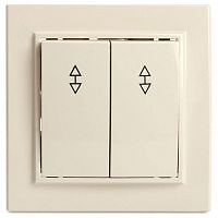 Переключатель двухклавишный Stekker Эрна 39920 в Нижнем Новгороде