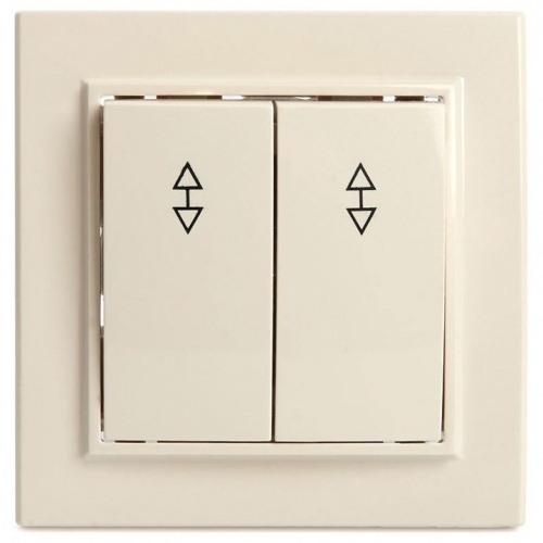 Переключатель двухклавишный Stekker Эрна 39920 в Нижнем Новгороде