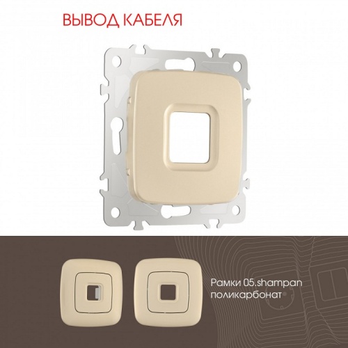 Розетка для вывод кабеля без рамки Arte Milano am-205 205.49-1.shampan в Нижнем Новгороде фото 4