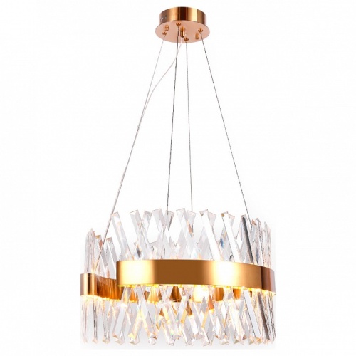 Подвесной светильник Ambrella Light TR TR5309 в Нижнем Новгороде фото 2
