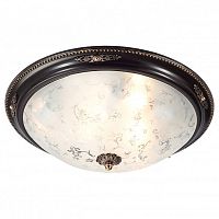 Накладной светильник Lucia Tucci Lugo LUGO 142.6 R50 brown в Нижнем Новгороде