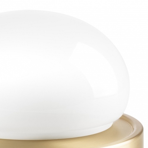 Настольная лампа декоративная Lightstar Alfa 745933 в Нижнем Новгороде фото 2