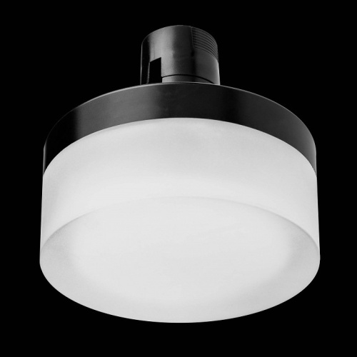 Накладной светильник Lightstar Due Hermes 210647 в Нижнем Новгороде фото 2