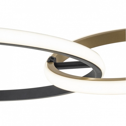 Подвесной светильник Escada Relation 10230/2LED Black/Gold в Нижнем Новгороде фото 2