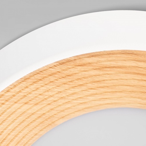 Накладной светильник Loft it Folk 10255/350 White в Нижнем Новгороде фото 2