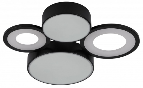 Потолочная люстра Rivoli Aliona Б0066451 в Нижнем Новгороде фото 4