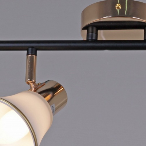 Светильник на штанге  05901-0.8-02 BK+FGD в Нижнем Новгороде фото 2