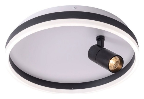 Накладной светильник Zortes Raizy ZRS.1888.03 в Нижнем Новгороде фото 6