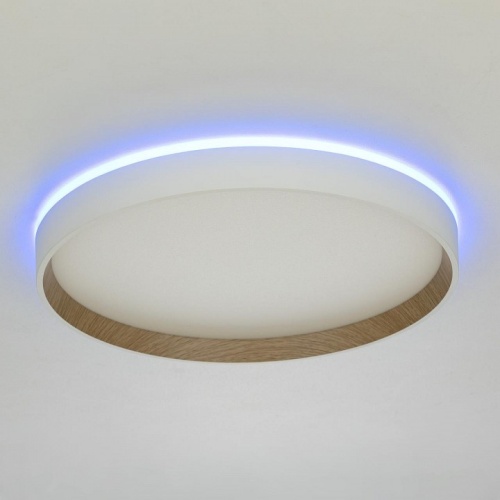 Накладной светильник Citilux ETALON CL750320R в Нижнем Новгороде фото 12