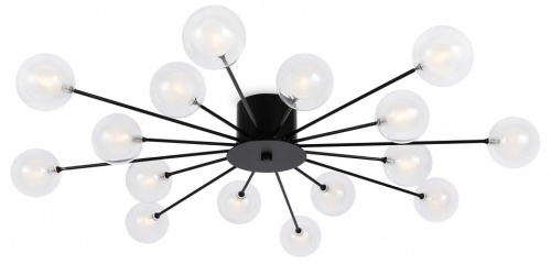 Потолочная люстра Freya Celebrity FR5242CL-16B1 в Нижнем Новгороде фото 7