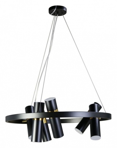 Подвесная люстра Zortes Tweeny ZRS.1828.60 в Нижнем Новгороде фото 7