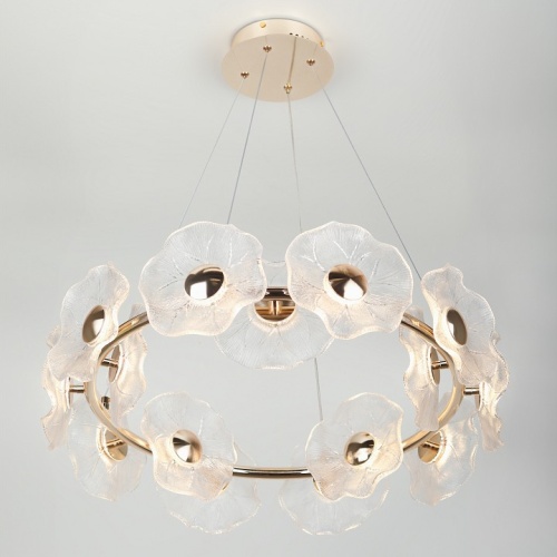 Подвесная люстра Rivoli Shannon Б0061947 в Нижнем Новгороде фото 11