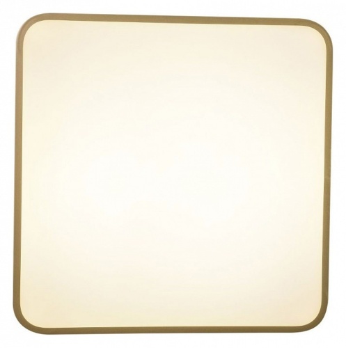 Накладной светильник Zortes Gabby ZRS.1215.03 в Нижнем Новгороде фото 8