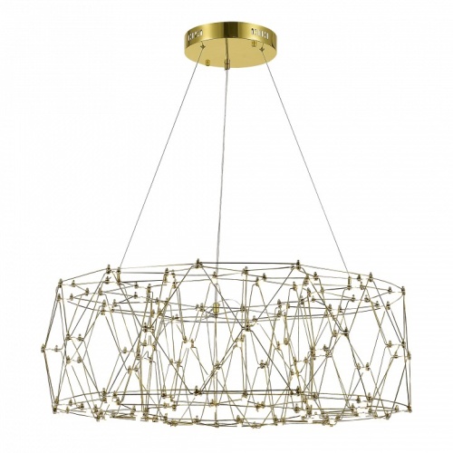 Подвесная люстра ST-Luce Gravetta SL6602.203.48 в Нижнем Новгороде фото 3