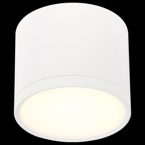 Накладной светильник ST-Luce Rene ST113.532.09 в Нижнем Новгороде фото 4