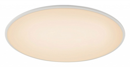 Накладной светильник Mantra Slim 7972 в Нижнем Новгороде