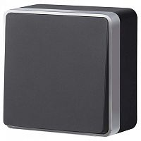 Выключатель одноклавишный Werkel Gallant (черный с серебром) W5010034 в Нижнем Новгороде