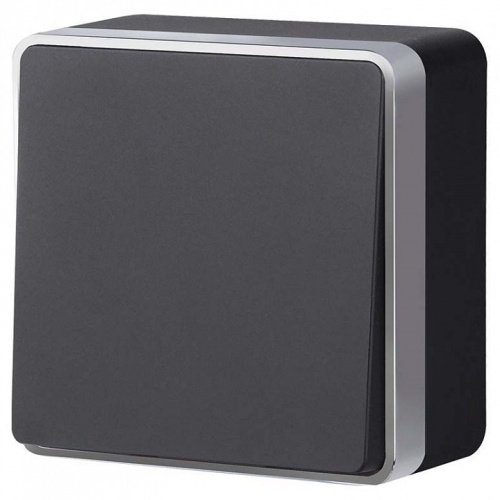 Выключатель одноклавишный Werkel Gallant (черный с серебром) W5010034 в Нижнем Новгороде