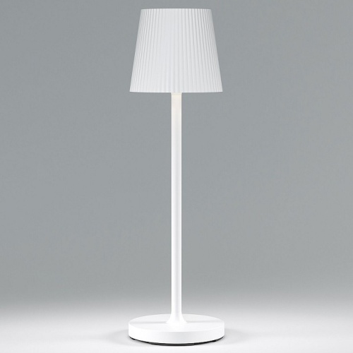 Настольная лампа декоративная Elektrostandard Mist a063928 в Нижнем Новгороде