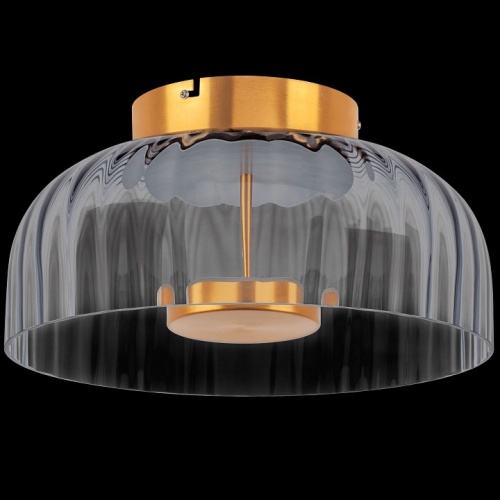 Накладной светильник Lightstar Celesta 809061 в Нижнем Новгороде фото 3