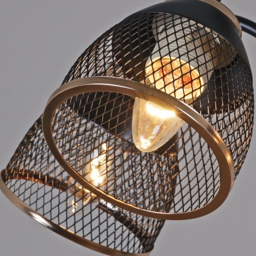 Люстра на штанге 01505-0.3-05 BK+FGD в Нижнем Новгороде фото 2