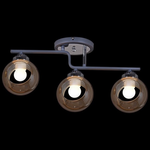 Светильник на штанге 32317-0.3-03 в Нижнем Новгороде фото 4