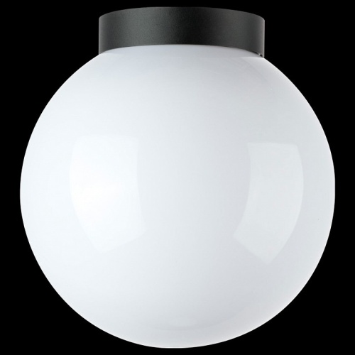 Накладной светильник Lightstar Bolla 373010 в Нижнем Новгороде фото 3