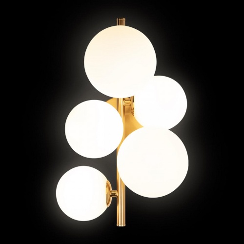 Бра Loft it Tely 10236/5W в Нижнем Новгороде фото 3