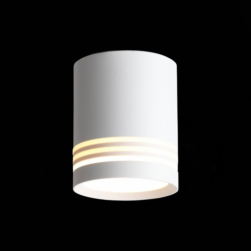 Накладной светильник ST-Luce Cerrione ST101.542.05 в Нижнем Новгороде фото 2