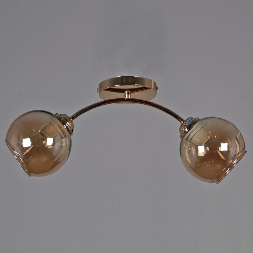 Светильник на штанге 01538-0.3-02 FGD в Нижнем Новгороде фото 3