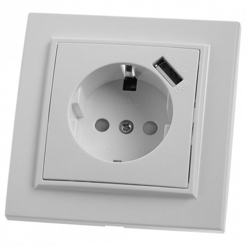 Розетка с заземлением и со шторкой и USB Stekker Эрна 39051 в Нижнем Новгороде