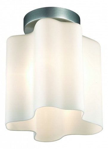 Накладной светильник ST-Luce Onde SL116.502.01 в Заречном