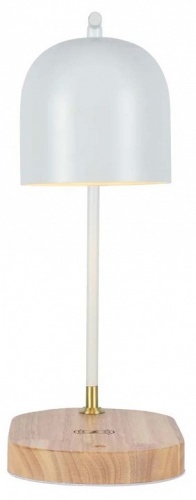 Настольная лампа офисная Zortes DESKLIGHT ZRS.1066.02 в Нижнем Новгороде фото 13