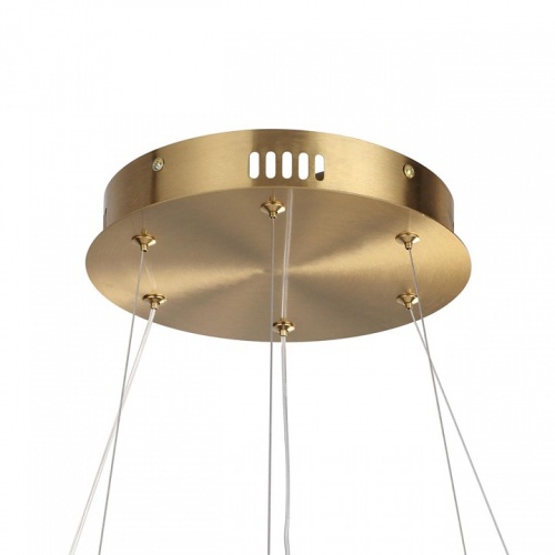 Подвесная люстра Lumion TWINKLE 8010/50L в Нижнем Новгороде фото 5