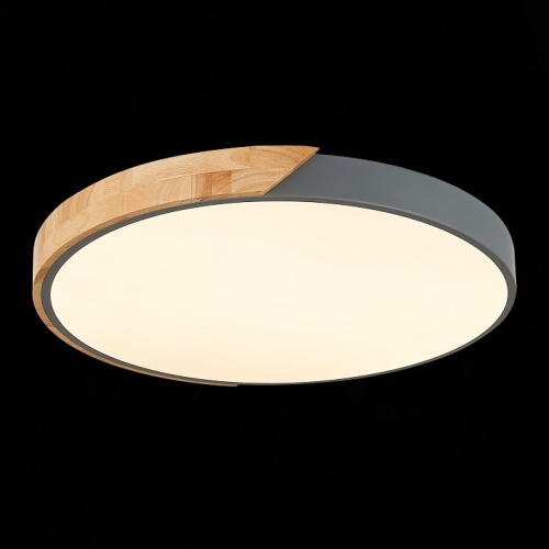 Накладной светильник EVOLUCE Festa SLE200972-01 в Нижнем Новгороде фото 6