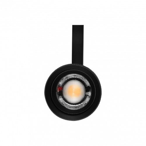 Светильник на штанге Lightstar Canno Pro 304127 в Нижнем Новгороде фото 2