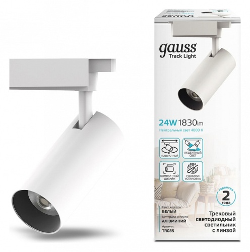 Светильник на штанге Gauss TR TR085 в Нижнем Новгороде фото 3