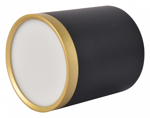 Накладной светильник Favourite Baral 3081-1C в Нижнем Новгороде фото 3