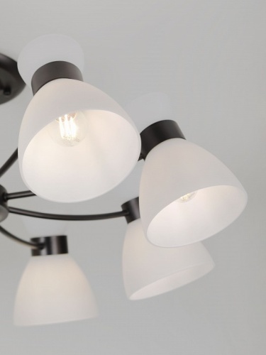 Люстра на штанге Rivoli Aemilia 9185-308 в Нижнем Новгороде фото 8