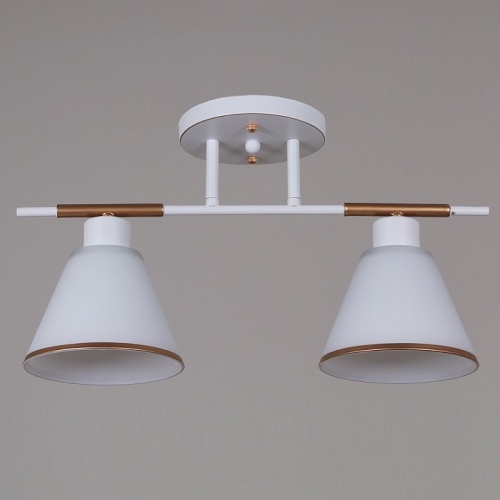 Светильник на штанге 07594-0.3-02 WG в Нижнем Новгороде фото 5