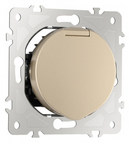 Розетка влагозащищенная с заземлением и со шторкой с крышкой Arte Milano am-202 202.41-1.shampan в Нижнем Новгороде фото 9